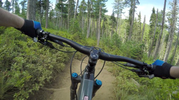 gopr0208.00_02_56_28.Still004