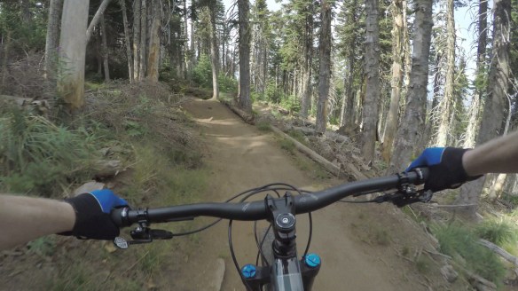 gopr0208.mp4.12_52_04_06.Still002